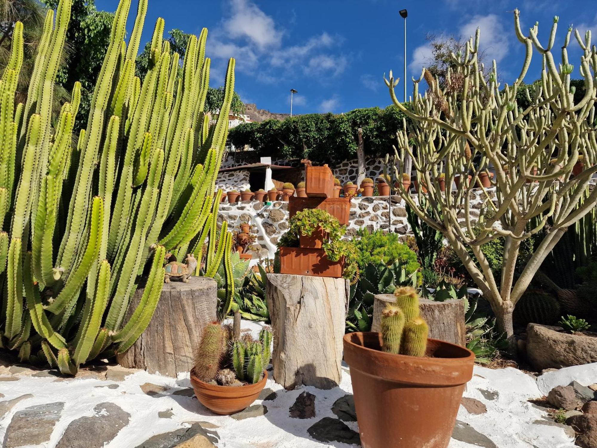 Villa Historica Casa Con Vistas Al Jardin De Cactus Y Montanas Mogán Exterior foto