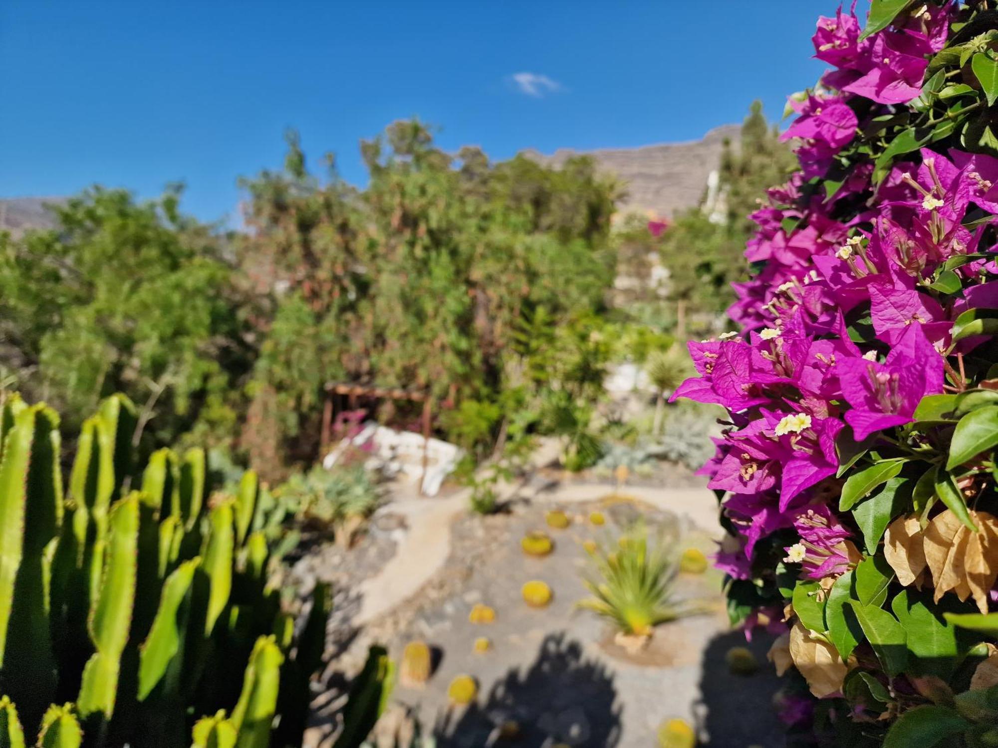Villa Historica Casa Con Vistas Al Jardin De Cactus Y Montanas Mogán Exterior foto