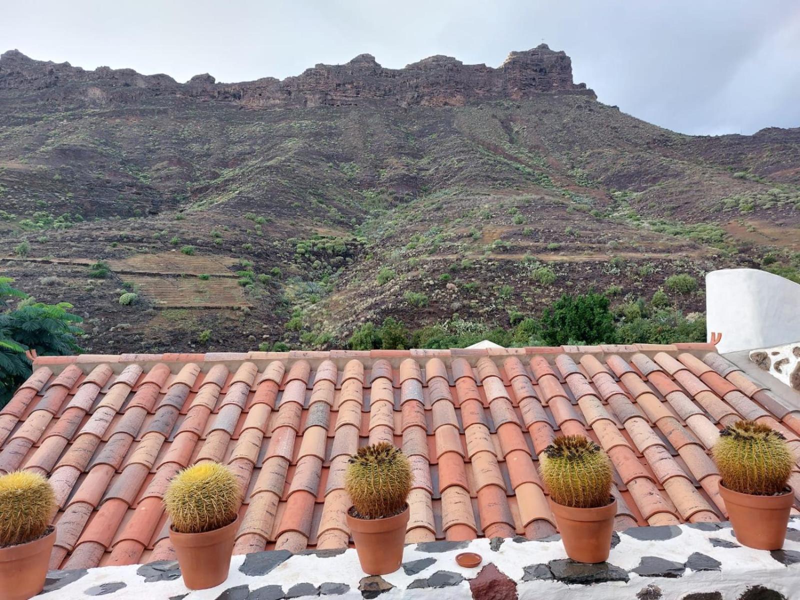 Villa Historica Casa Con Vistas Al Jardin De Cactus Y Montanas Mogán Exterior foto